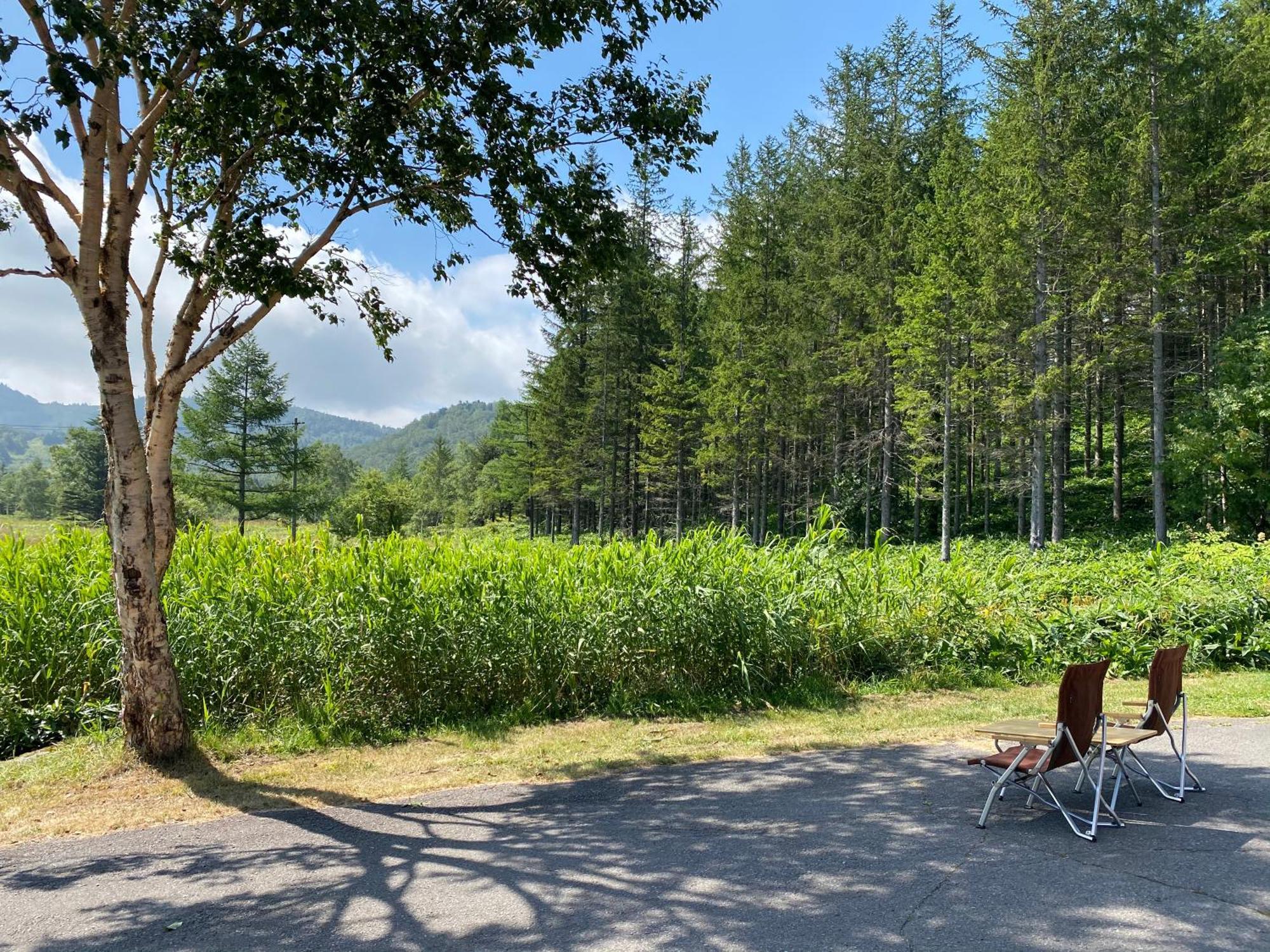 Sachinoyu Hotel Shiga Kogen Yamanouchi (Nagano) Exterior foto